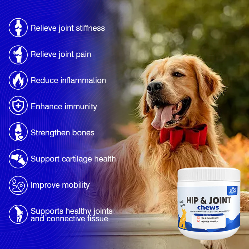 Advanced Hip & Joint Chews For Dogs | Rich in Glucosamine & Chondroitin For Joint Relief & Bone Health Let the dog move freely