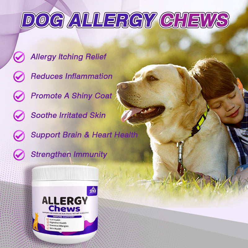Dog Allergy Chews- Dog Allergy and Itching Skin Relief Anti Itch Aller Immune Bites for Dogs Itching Itchy Paw Relief Itch Allergy Probiotics Support Chew Vitamins for Skin and Coat Allergies