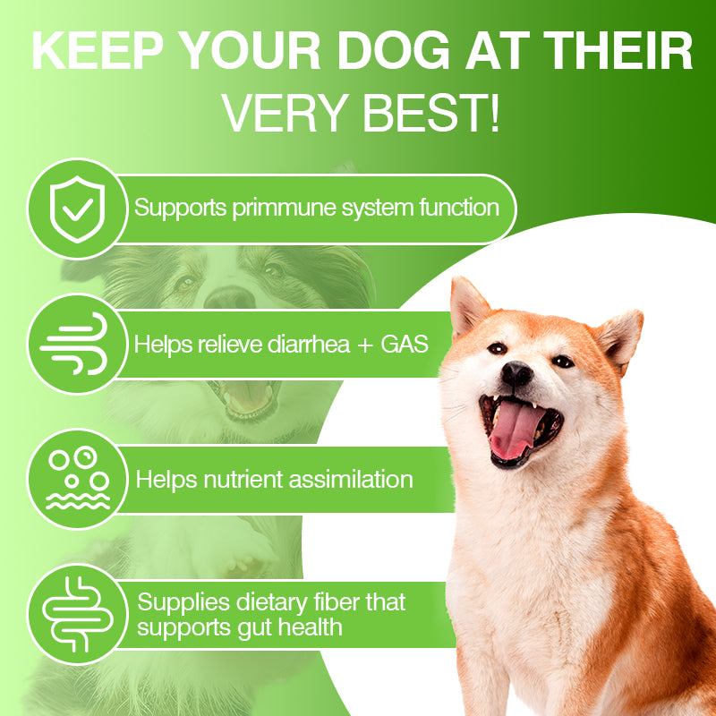 Advanced Probiotic Chews For Dog - For Soothing Itchy Skin And Ears,Boosting Gut Health,Balancing Yeast,Alleviating Allergies,Enhancing Immunity,Supporting Digestive Health With Probiotics