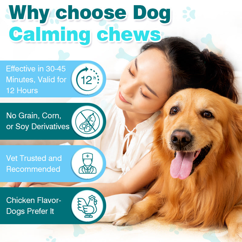 Advanced Dog Calming chews | Recommended for promote relaxation | Suitable for fireworks, thunderstorms, travel and other occasions | With L-Tryptophan, B Vitamins & Chamomile 300g (10.6oz)